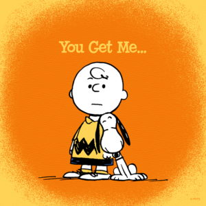 A Smiling Snoopy leaning on Charlie Brown with the sentiment written above them, "You Get Me."